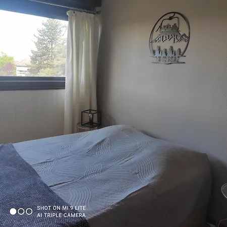 Проживание в семье Vue Parc