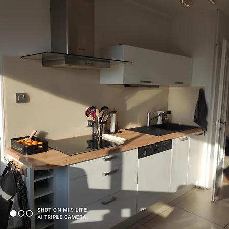 Проживание в семье Vue Parc